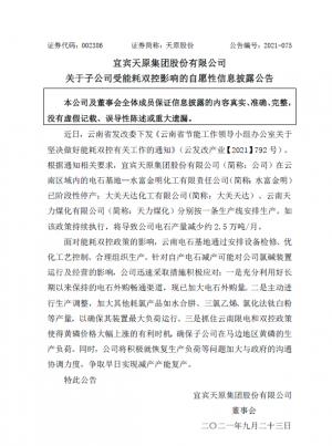 <b>关于宜宾天元集团有限公司受能耗双控影响子公司自愿信息披露的公告</b>