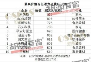石头科技入选胡润百亿潜力品牌榜,全球化布局支撑百亿营收可能性